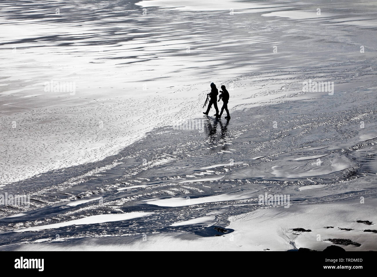 Due persone di camminare sulla spiaggia in controluce, Islanda, Snaefellsnes, Vesturland, Vallnavik Foto Stock