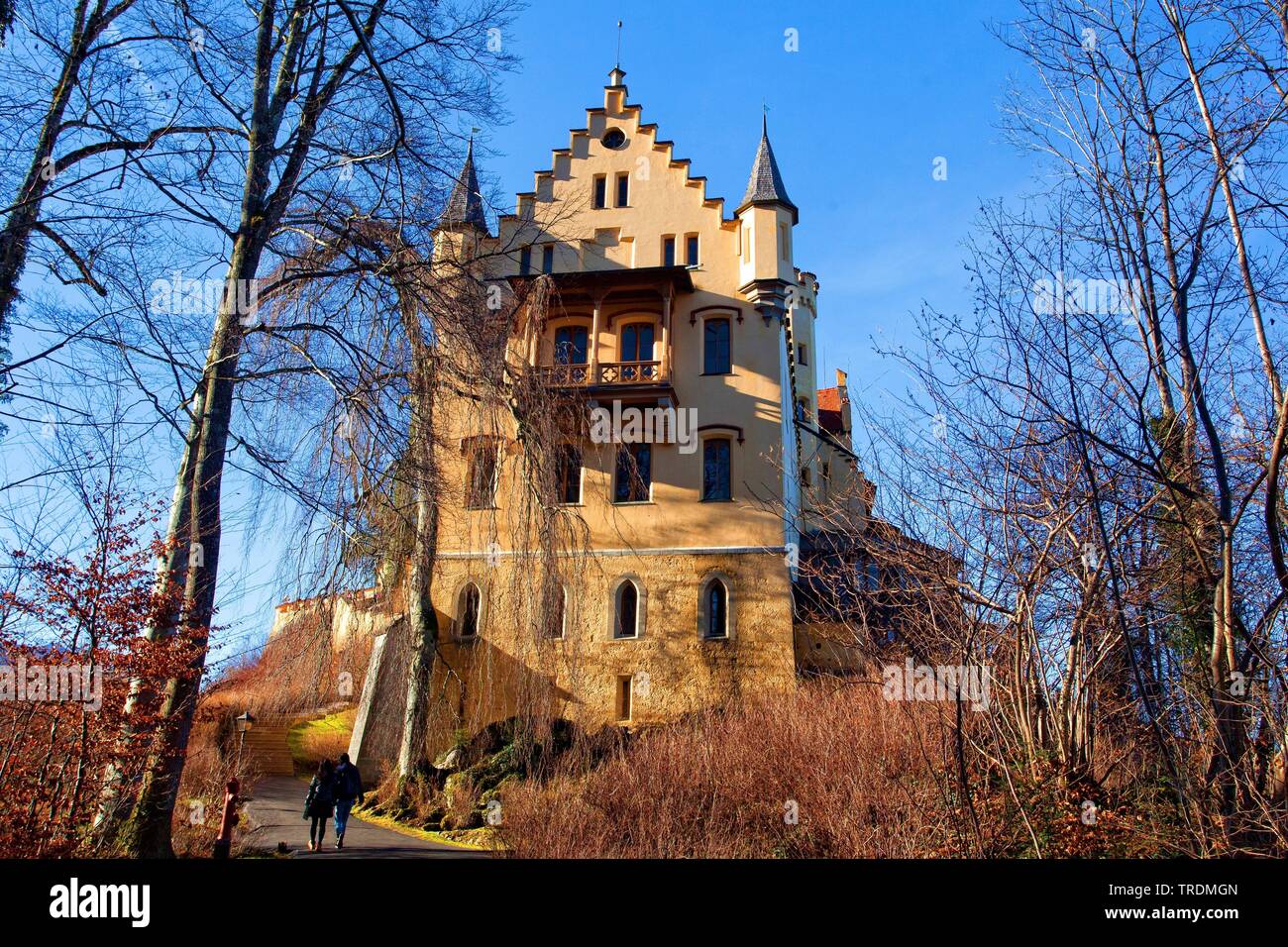 Il Castello di Hohenschwangau, Schloss Hohenschwangau, in Germania, in Baviera Foto Stock