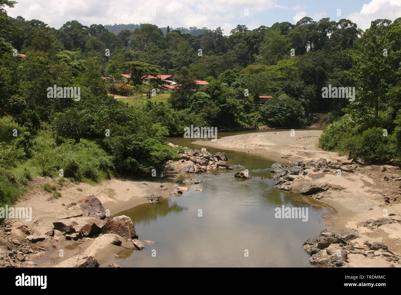 Tropical rainwood in Danum Valley, Indonesia, Borneo Foto Stock