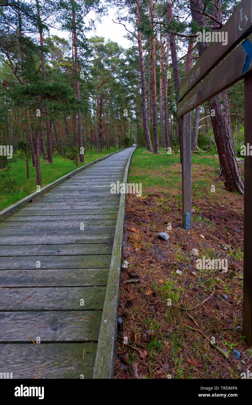 Riserva naturale Trollskogen, Svezia, Oeland Foto Stock