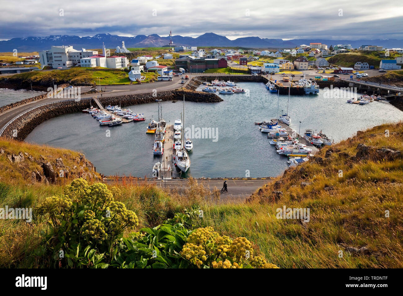 Vista del porto, Islanda, Snaefellsnes, Stykkisholmur Foto Stock