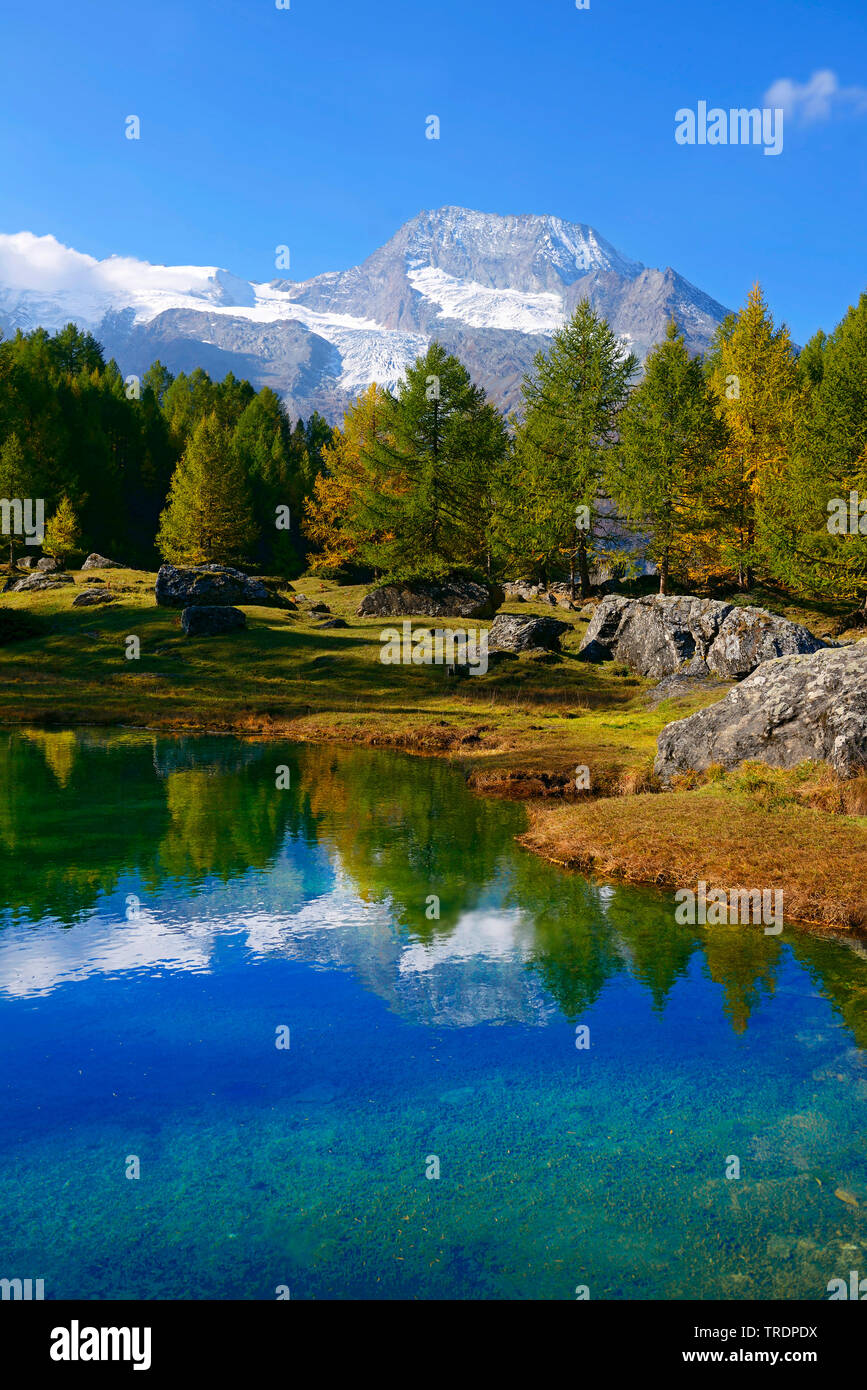 Il lago di Monal im Herbst, Mont Pourri im Hintergrund, Francia, Savoie, Sainte Foy Tarentaise Foto Stock