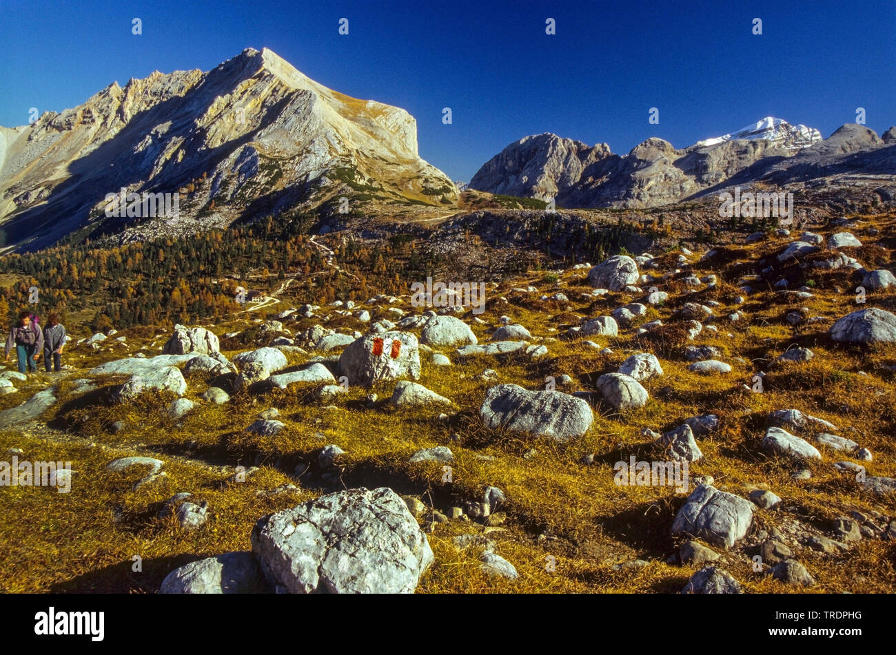 Rocce sul prato di montagna, Italia, Sued Tirol, Fanes Parco Nazionale Foto Stock