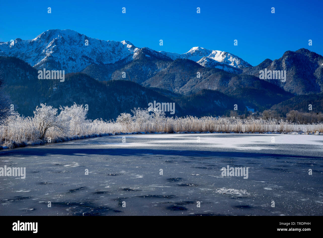 Il lago di Kochel in inverno, Herzogstand mountain in background, in Germania, in Baviera Foto Stock
