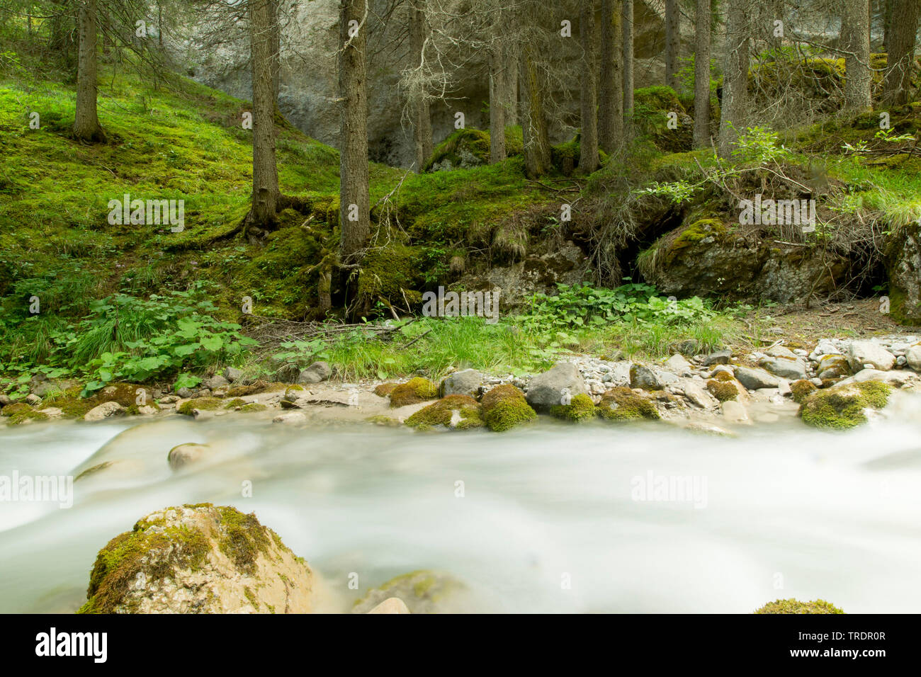 Creek, Ungheria Foto Stock