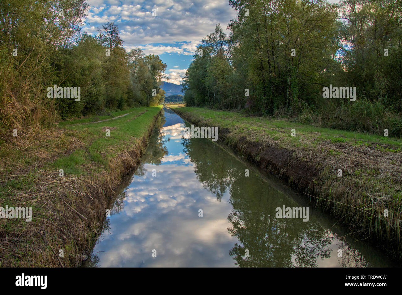 Il drenaggio in una palude, in Germania, in Baviera, il Lago Chiemsee Foto Stock