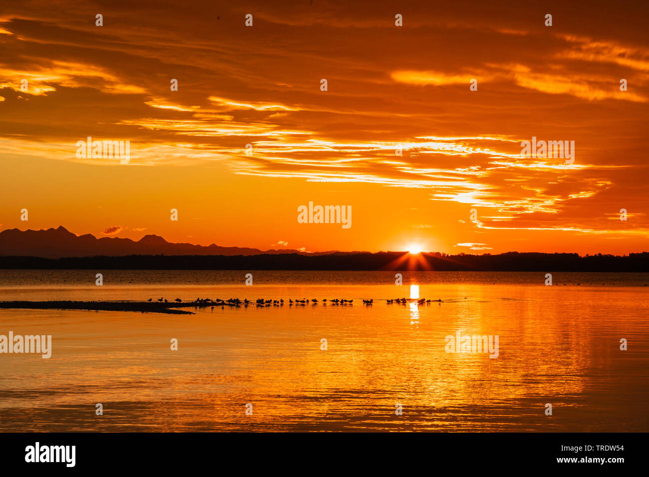 Il lago di Chiemsee in rosso tramonto, in Germania, in Baviera, il Lago Chiemsee Foto Stock