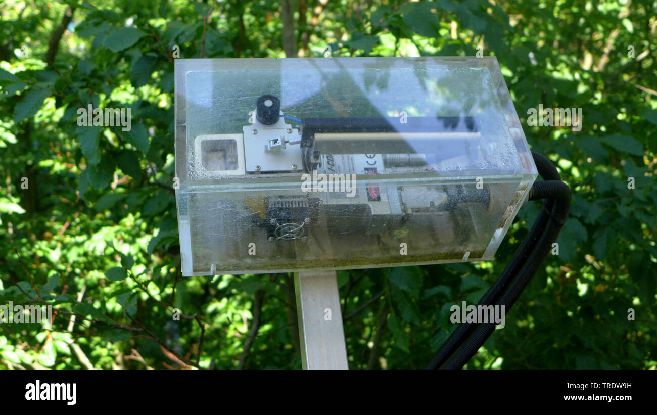 La misurazione della CO2 in un albero superiore, Germania, Thueringen, Parco Nazionale Hainich Foto Stock