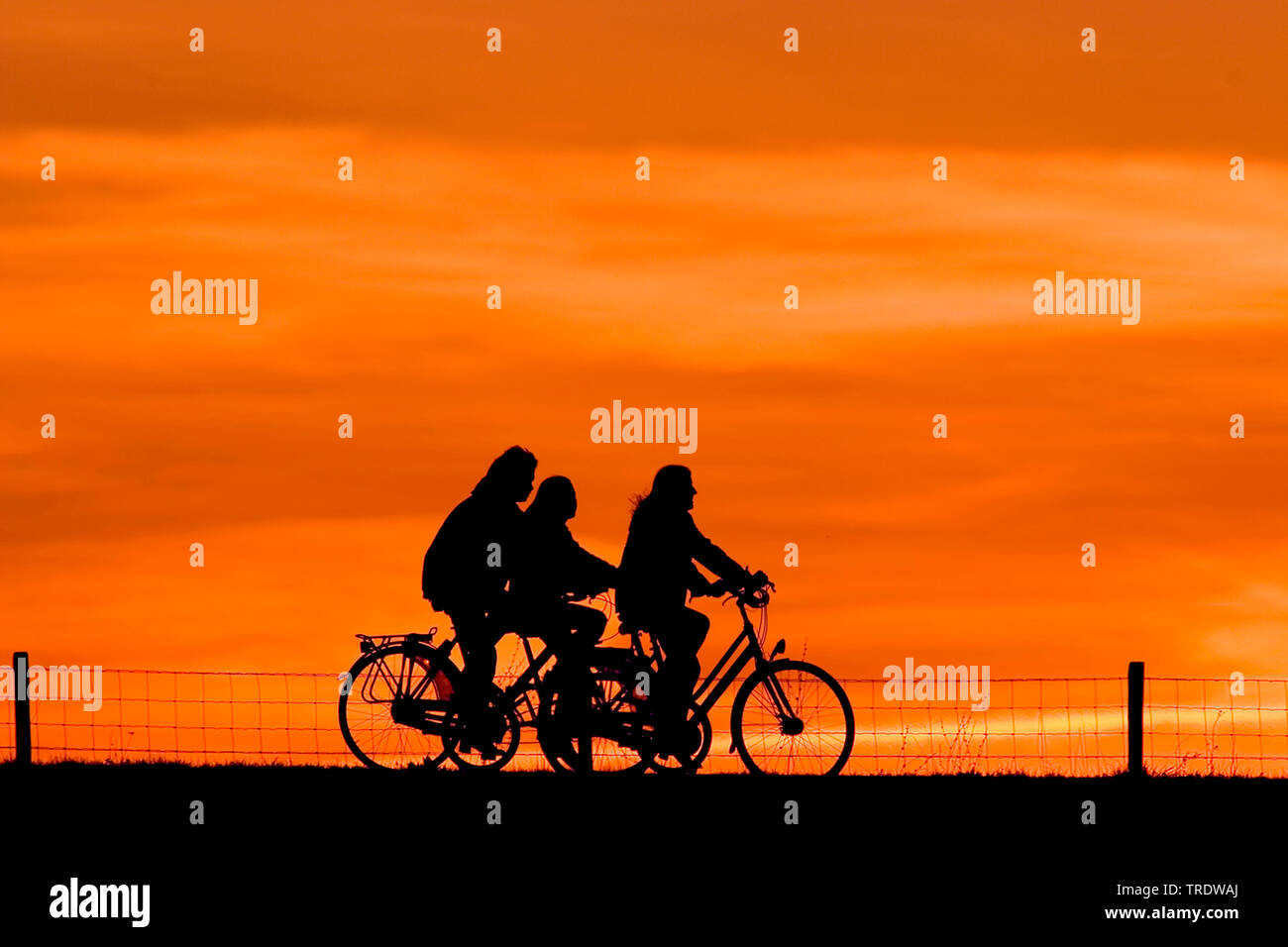 Escursioni in bicicletta su un argine al tramonto Foto Stock