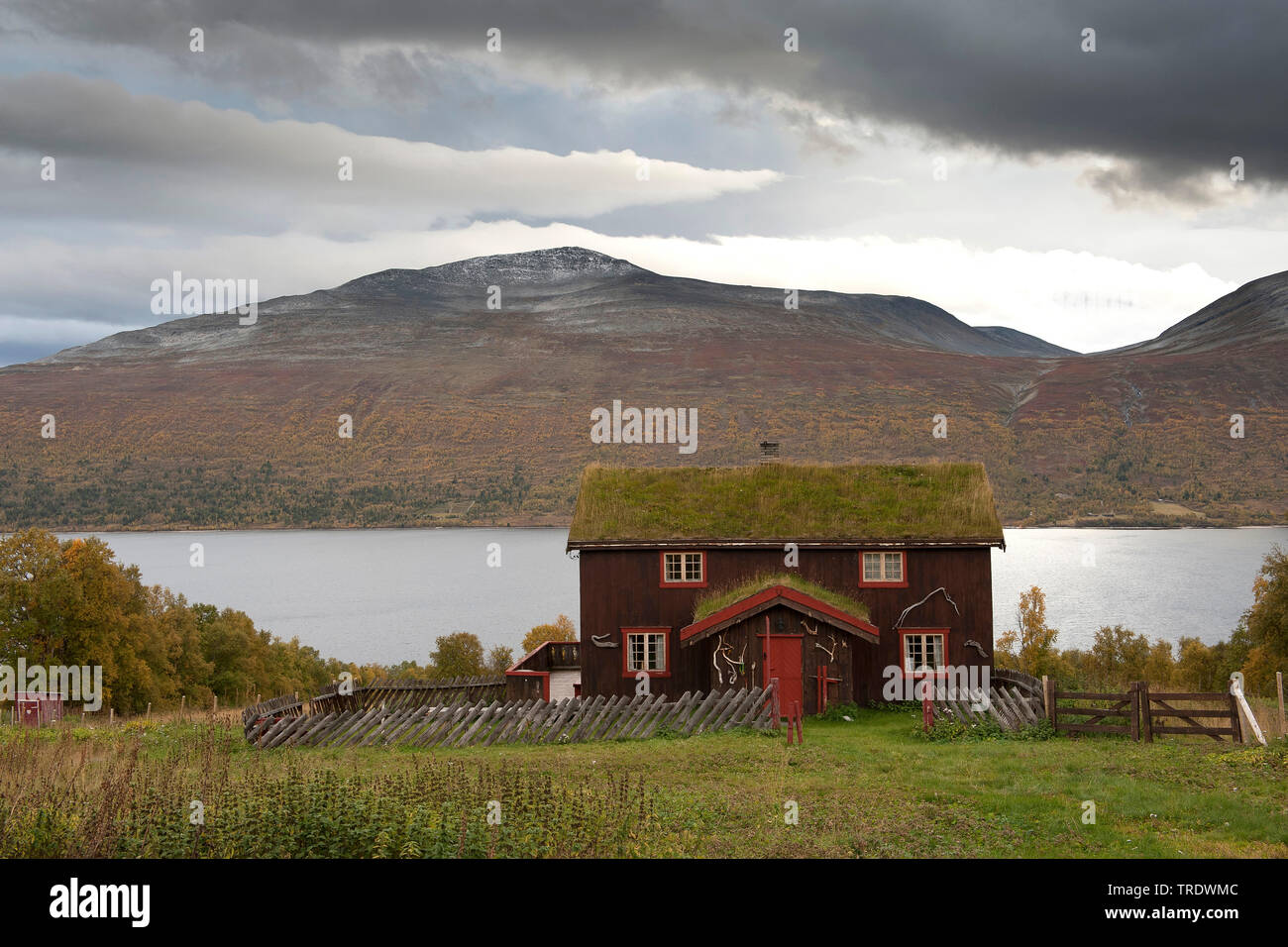 Casa sul lago, Norvegia, Dovrefjell Sunndalsfjella Parco Nazionale Foto Stock