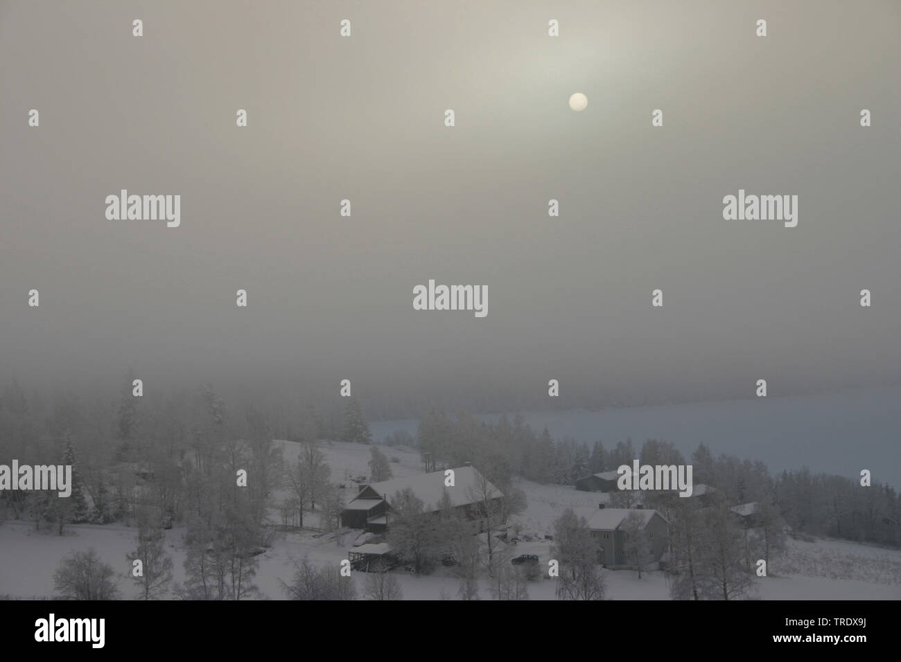 Lomen coperta di nebbia, Norvegia, Lomen Foto Stock