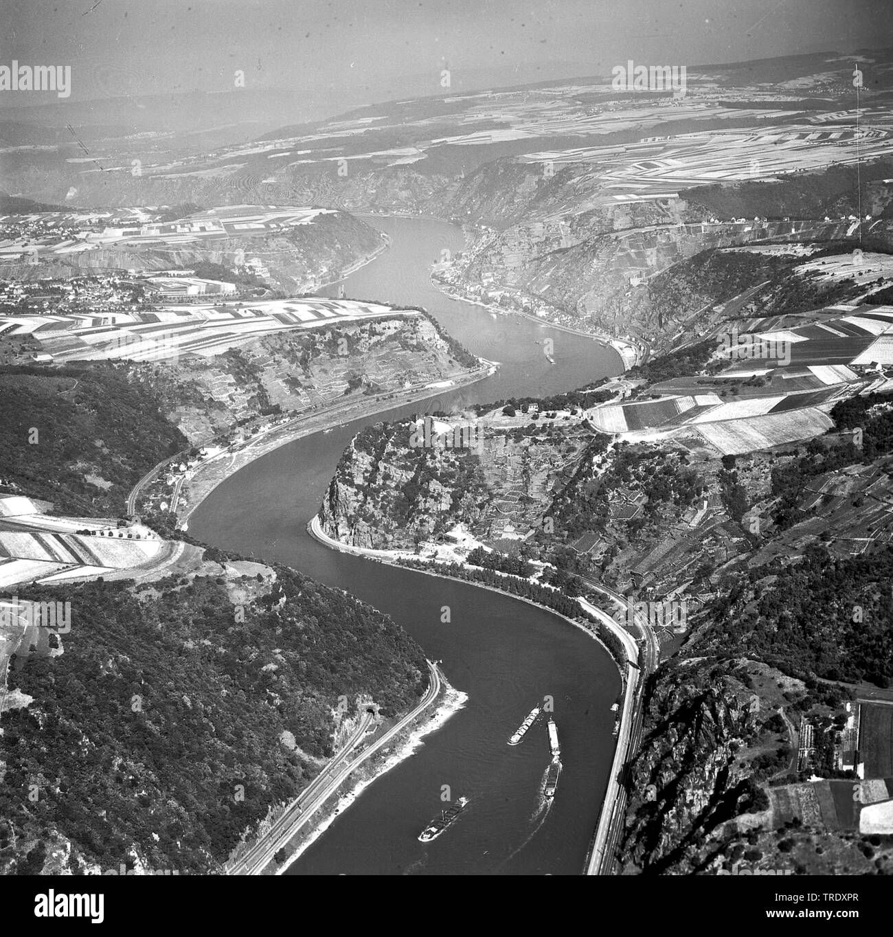 Rock Loreley al fiume Reno, foto aerea dal 29.08.1961, in Germania, in Renania Palatinato, Sankt Goarshausen Foto Stock