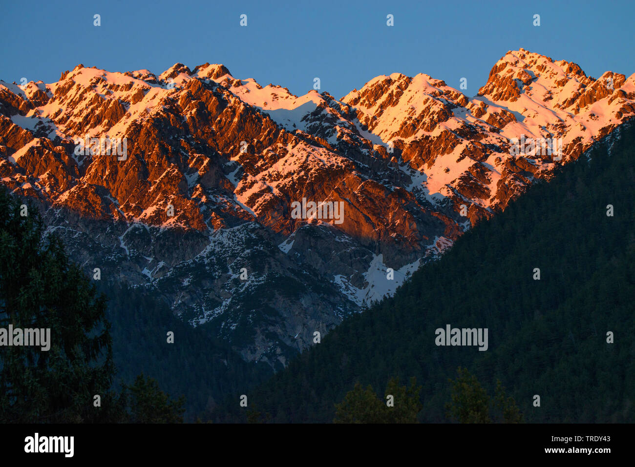 Karwendel mountain range in post-incandescenza, Austria, Tirolo, Zirler Wald Foto Stock