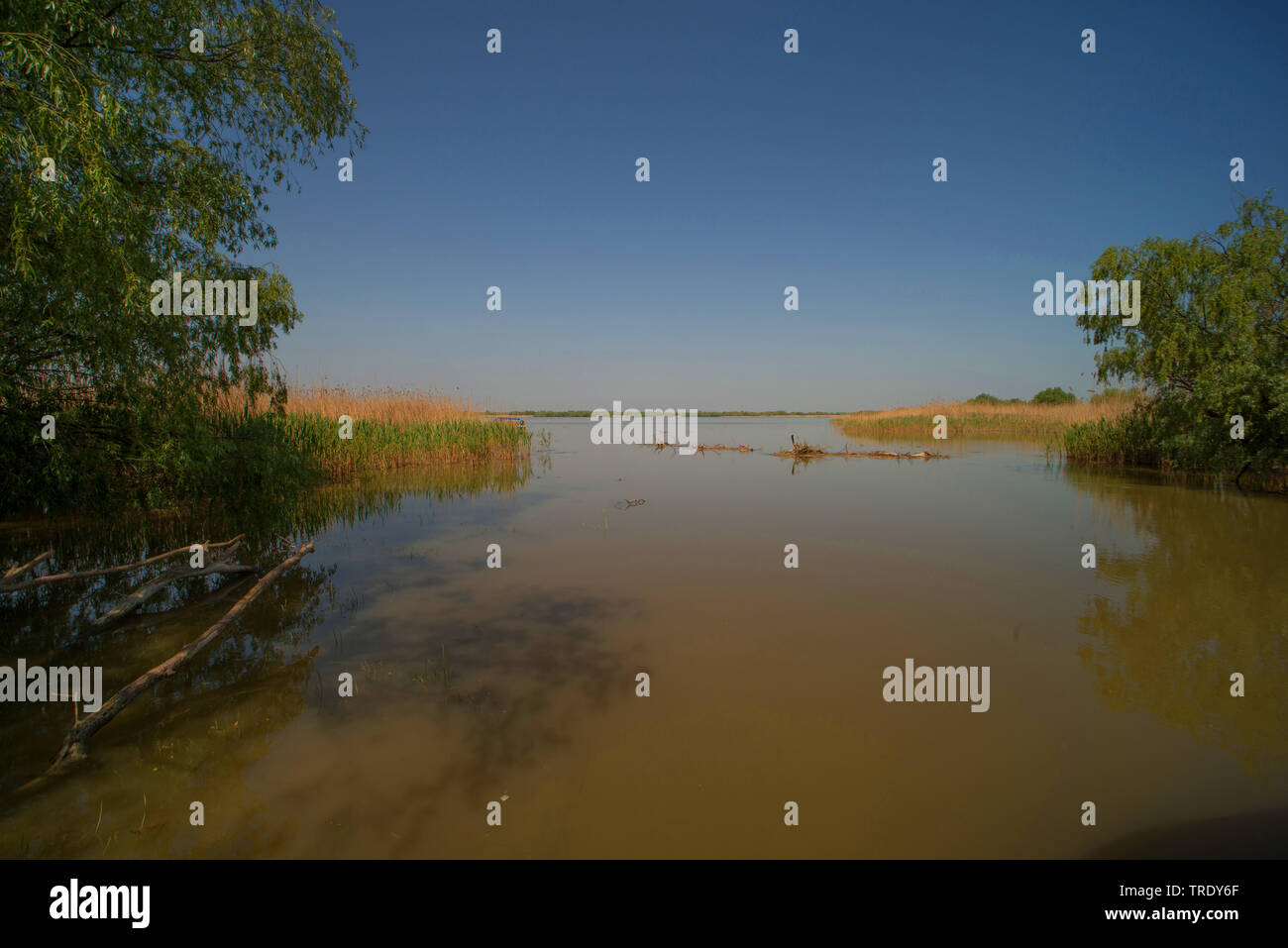 Riserva naturale del Delta del Danubio, Romania, Biosphaerenreservat Donaudelta Foto Stock