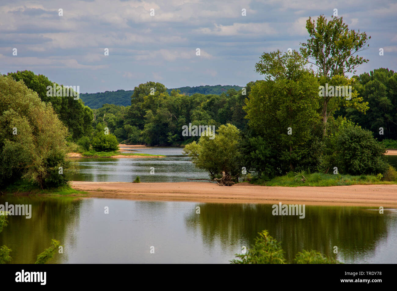 Loire tra Saumur e Tours, uno dei pochi fiumi selvaggi in Europa, Francia Foto Stock