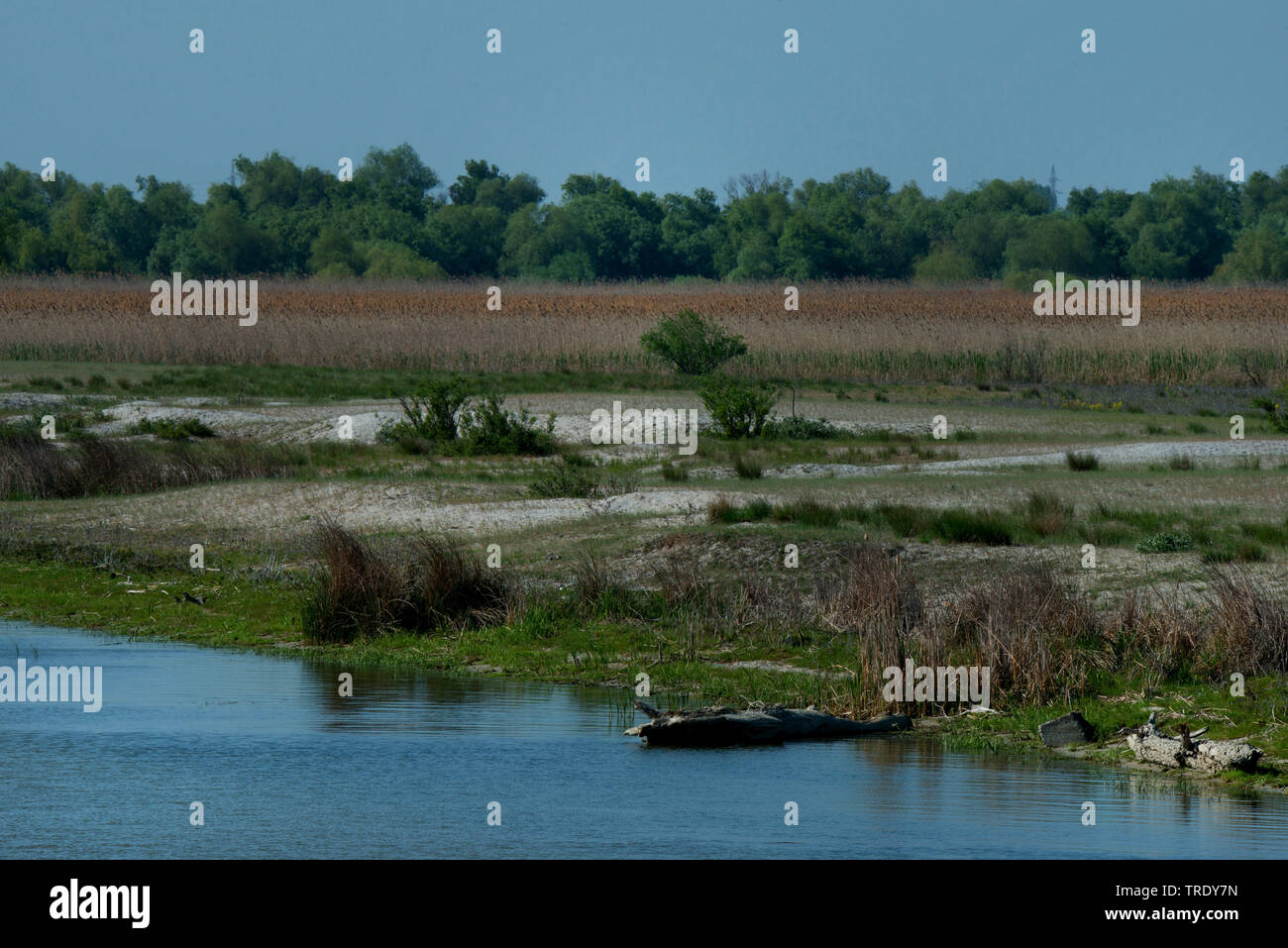 Il delta del Danubio, Romania, Biosphaerenreservat Donaudelta Foto Stock