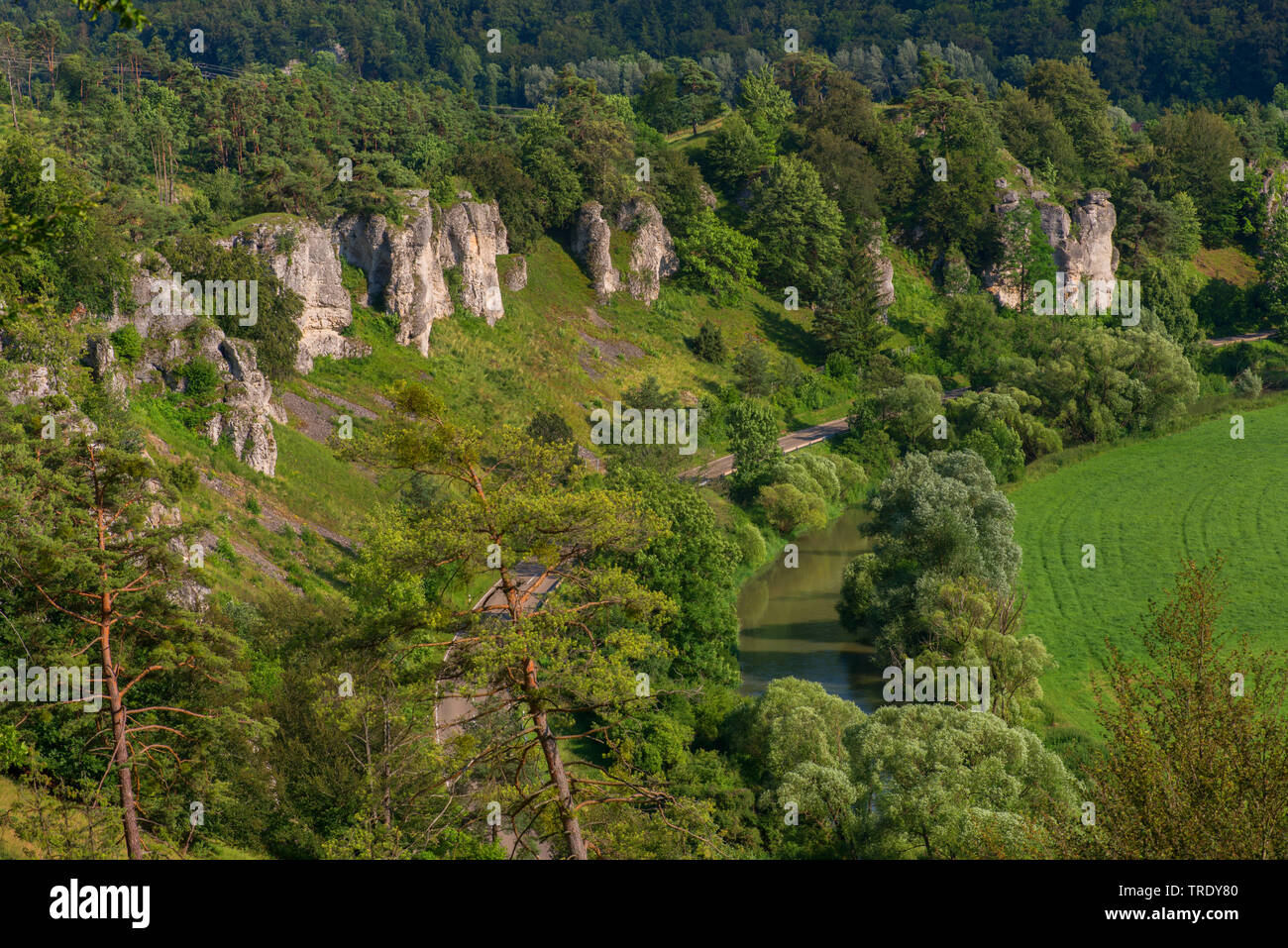 Formazione di roccia dodici Apostels della riserva Altmuehltal, in Germania, in Baviera, Media Franconia, Mittelfranken, Solnhofen Foto Stock