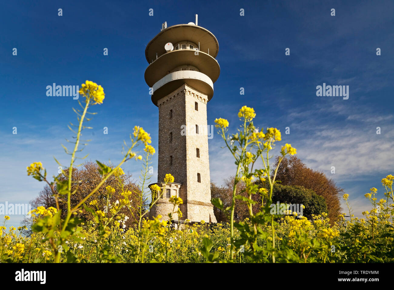 Longino torre sulla collina Westerberg, Baumberge, in Germania, in Renania settentrionale-Vestfalia, Muensterland, Nottuln Foto Stock