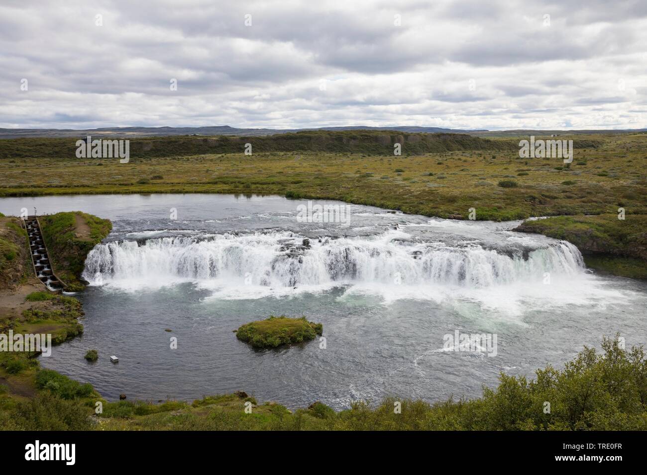 Faxi cascata con pesce scaletta, Islanda, Faxafoss, Vatnsleysufoss Foto Stock