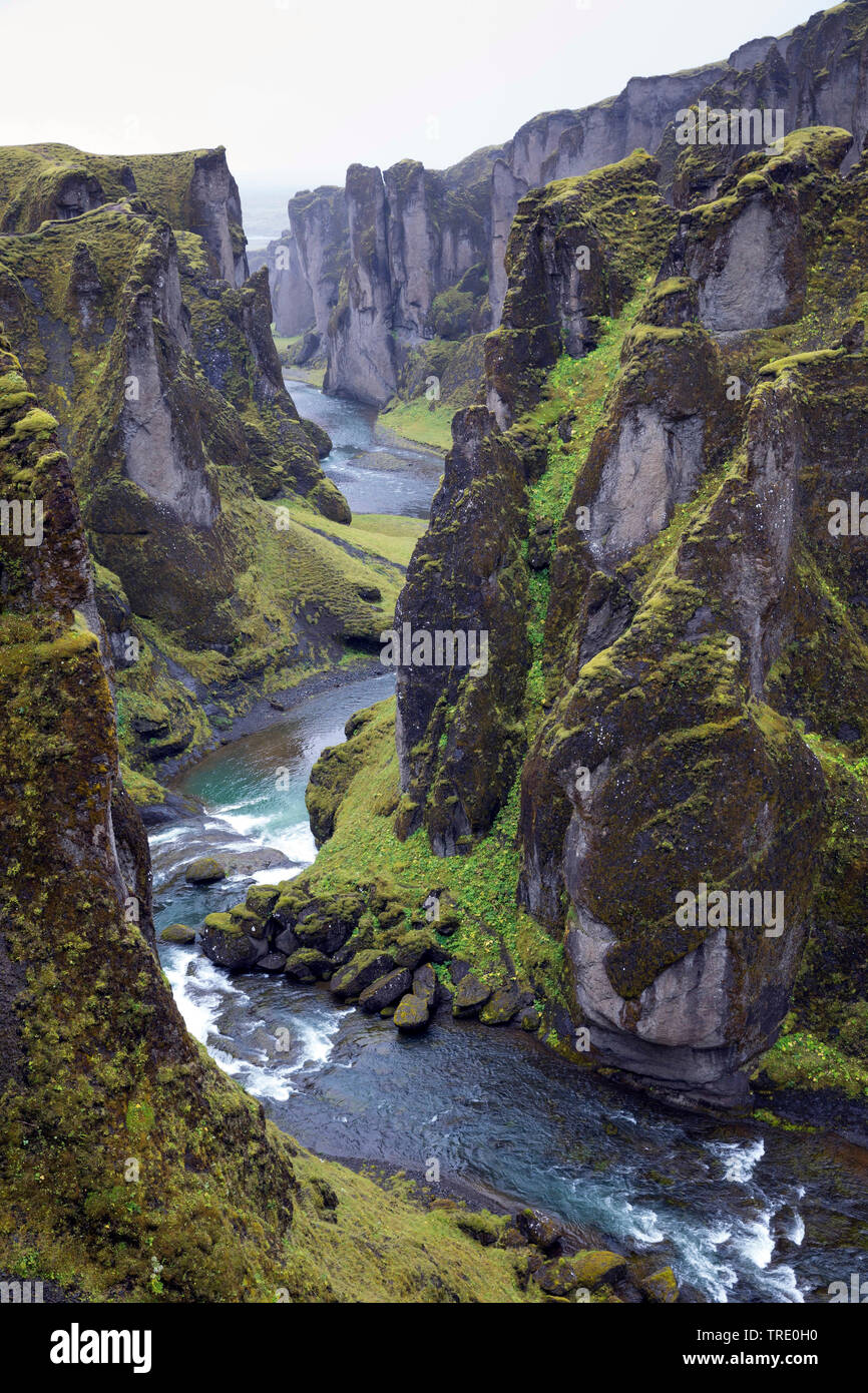 Canyon Fjathrargljufur, Islanda, Kirkjubaejarklaustur Foto Stock