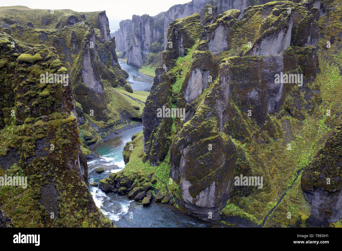 Canyon Fjathrargljufur, Islanda, Kirkjubaejarklaustur Foto Stock