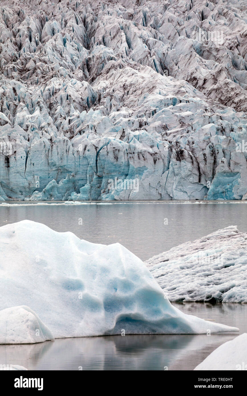 Iceberg Fjallsarlon, ghiacciaio parto in laguna, Islanda, Vatnajoekull Parco Nazionale Foto Stock
