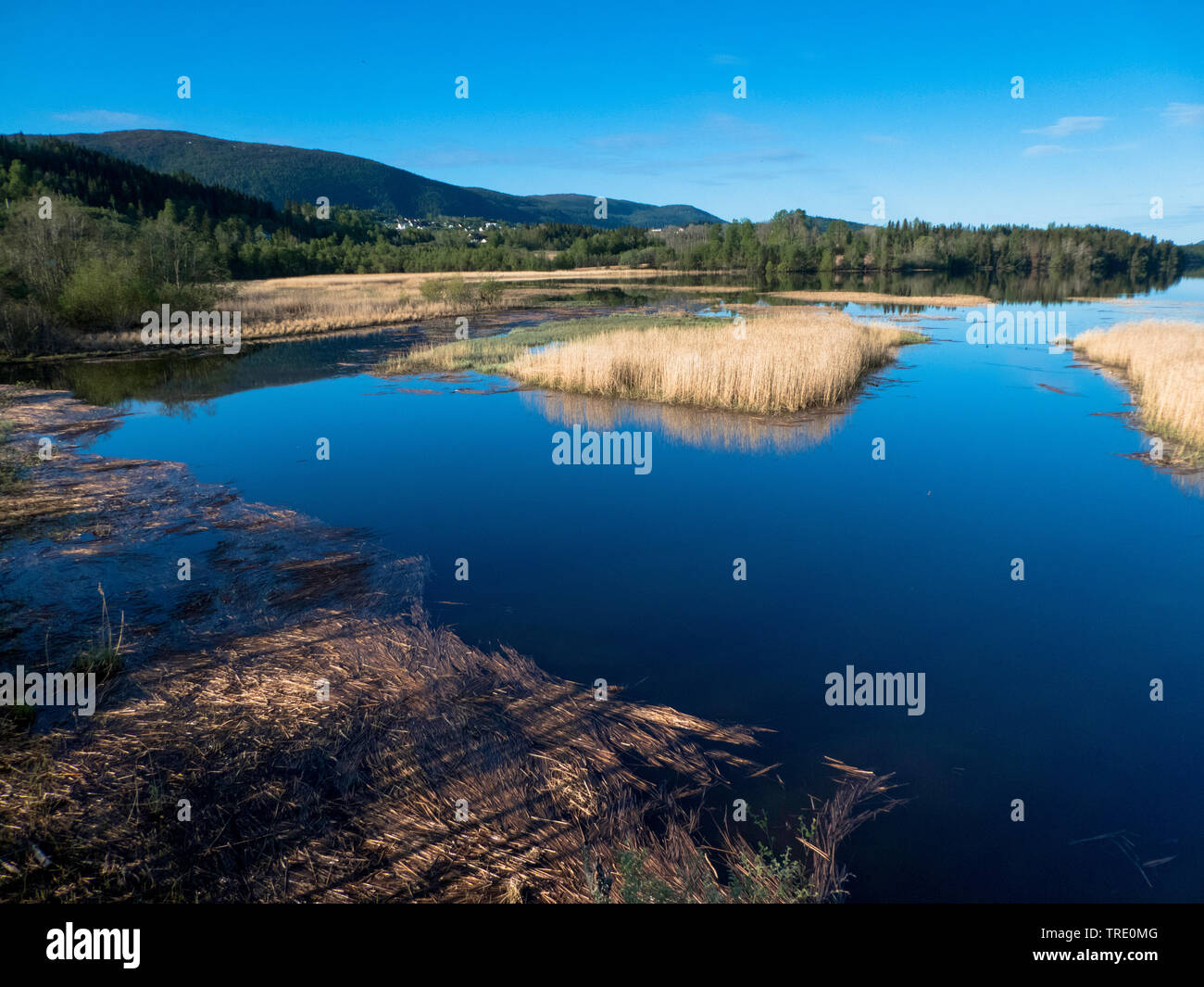 Primavera al lago Hammervatnet, Norvegia, Nord-Troendelag, Hammervatnet Foto Stock