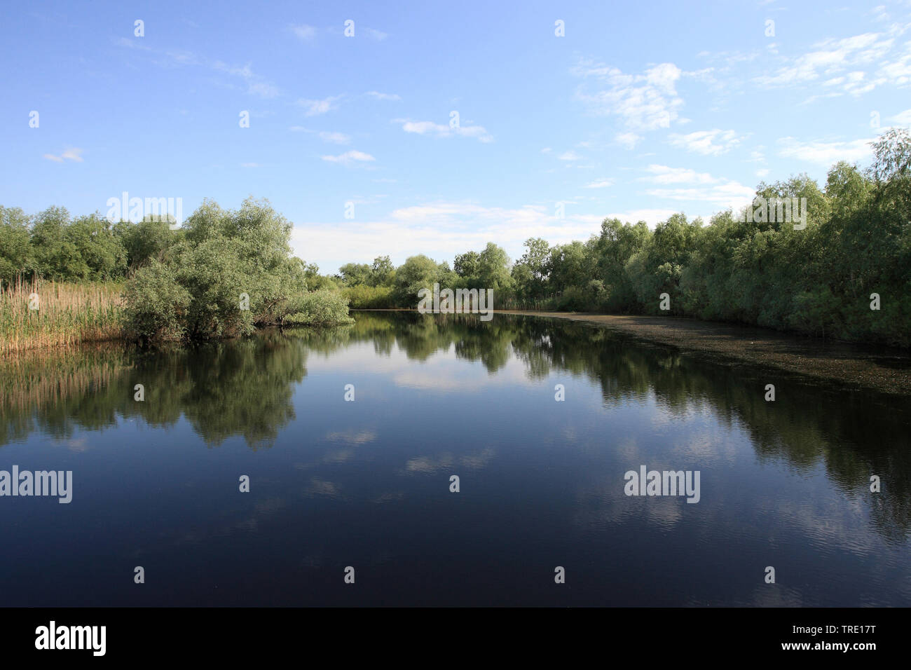 Il Delta del Danubio, Romania, il Delta del Danubio Foto Stock