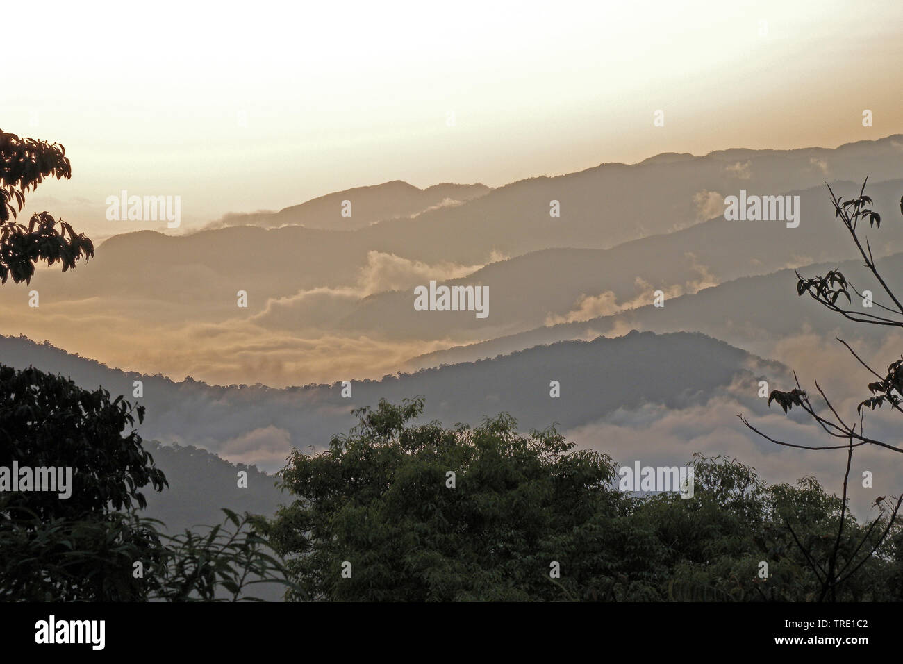 Scenario Wushe Taiwan Taiwan Foto Stock