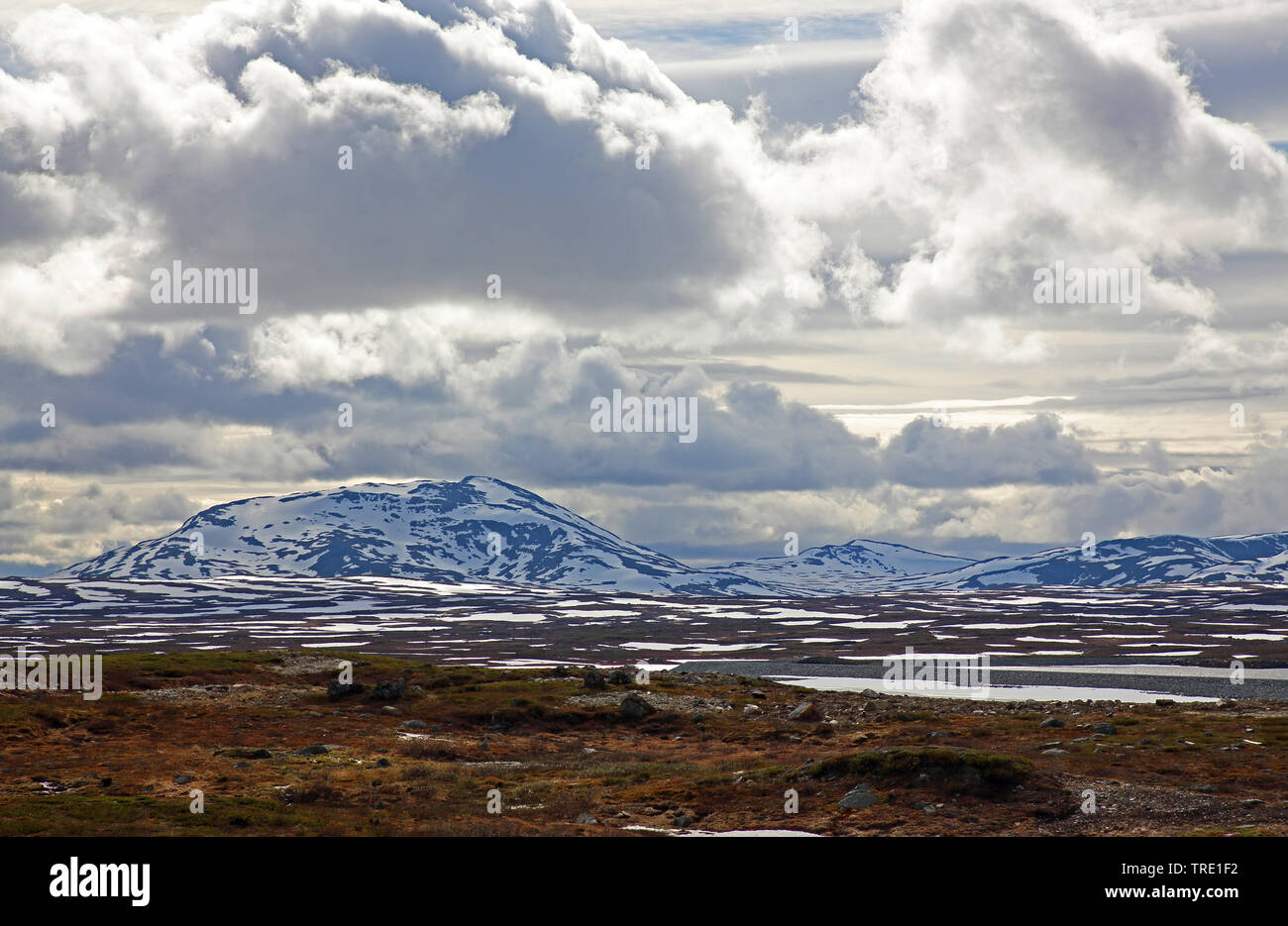 Campi di neve il fjell, Norvegia, Borgefjell National Park, Klimpfjaell Foto Stock