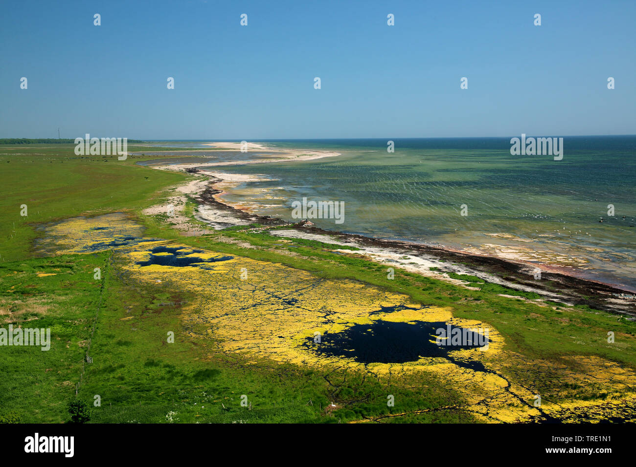 Il sud di Oeland, vista dal faro Lange Jan per la costa orientale della Svezia, Oeland, Ottenby Foto Stock