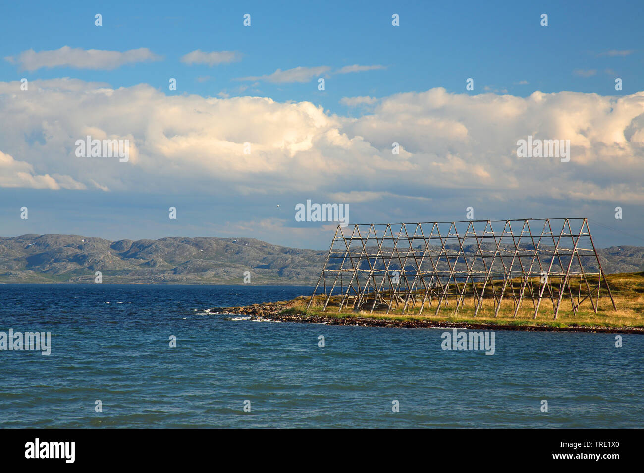 Per telai di baccalà, Norvegia, Varangerfjord, Nesseby Foto Stock