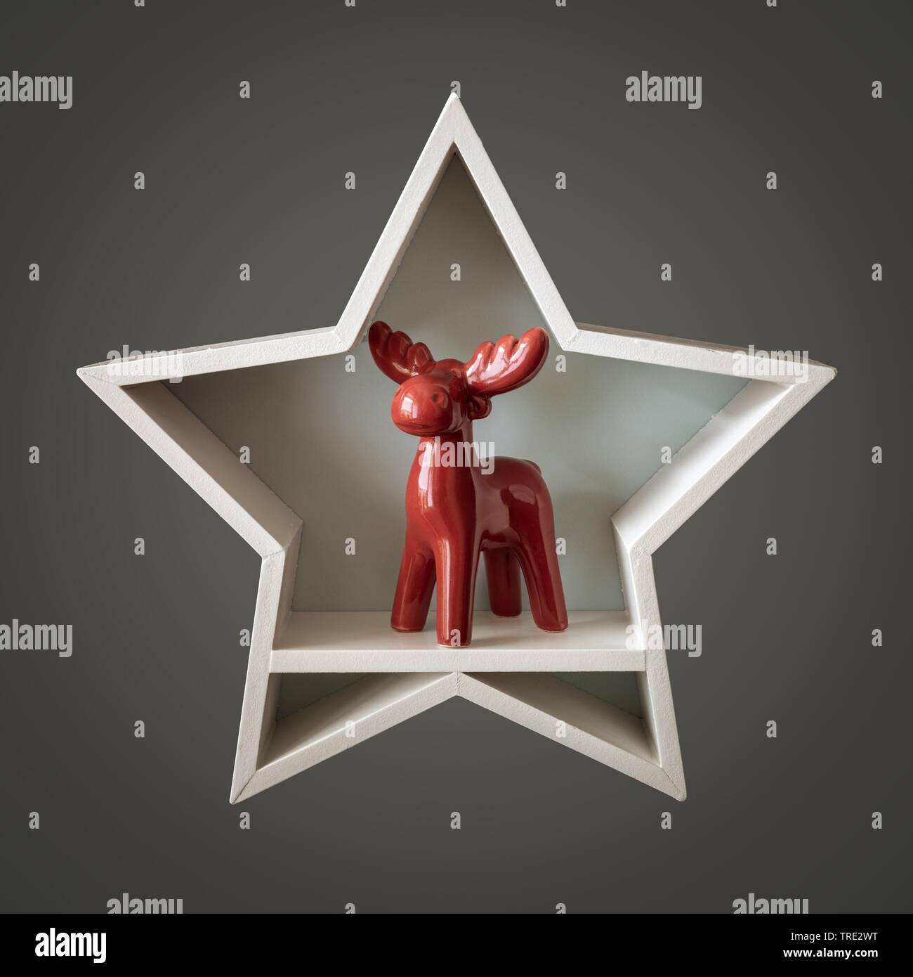 Decorazione di Natale stella bianca con Red Deer interno con la renna Rudolph Foto Stock