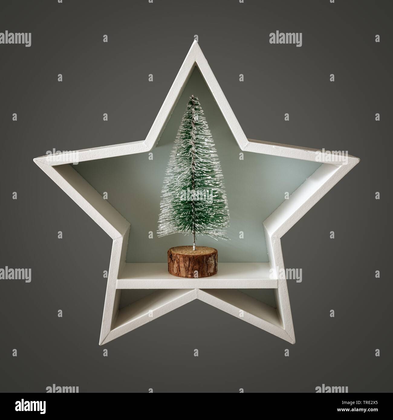 Decorazione di Natale stella bianca con abete interno con un albero di Natale Foto Stock