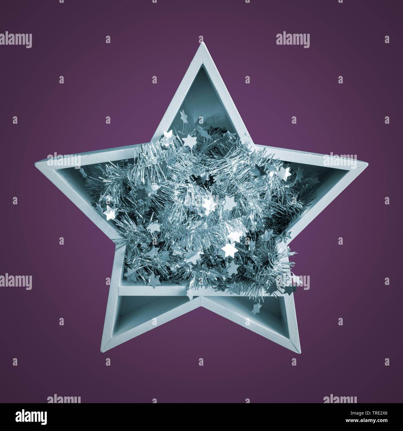 Decorazione di Natale stella bianca con ghirlanda di argento Foto Stock