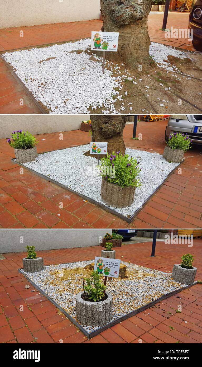 Progressi su un albero pit, residenti facendo un letto di pietra attorno a un albero in una strada, un albero è stato abbattuto, Germania Foto Stock