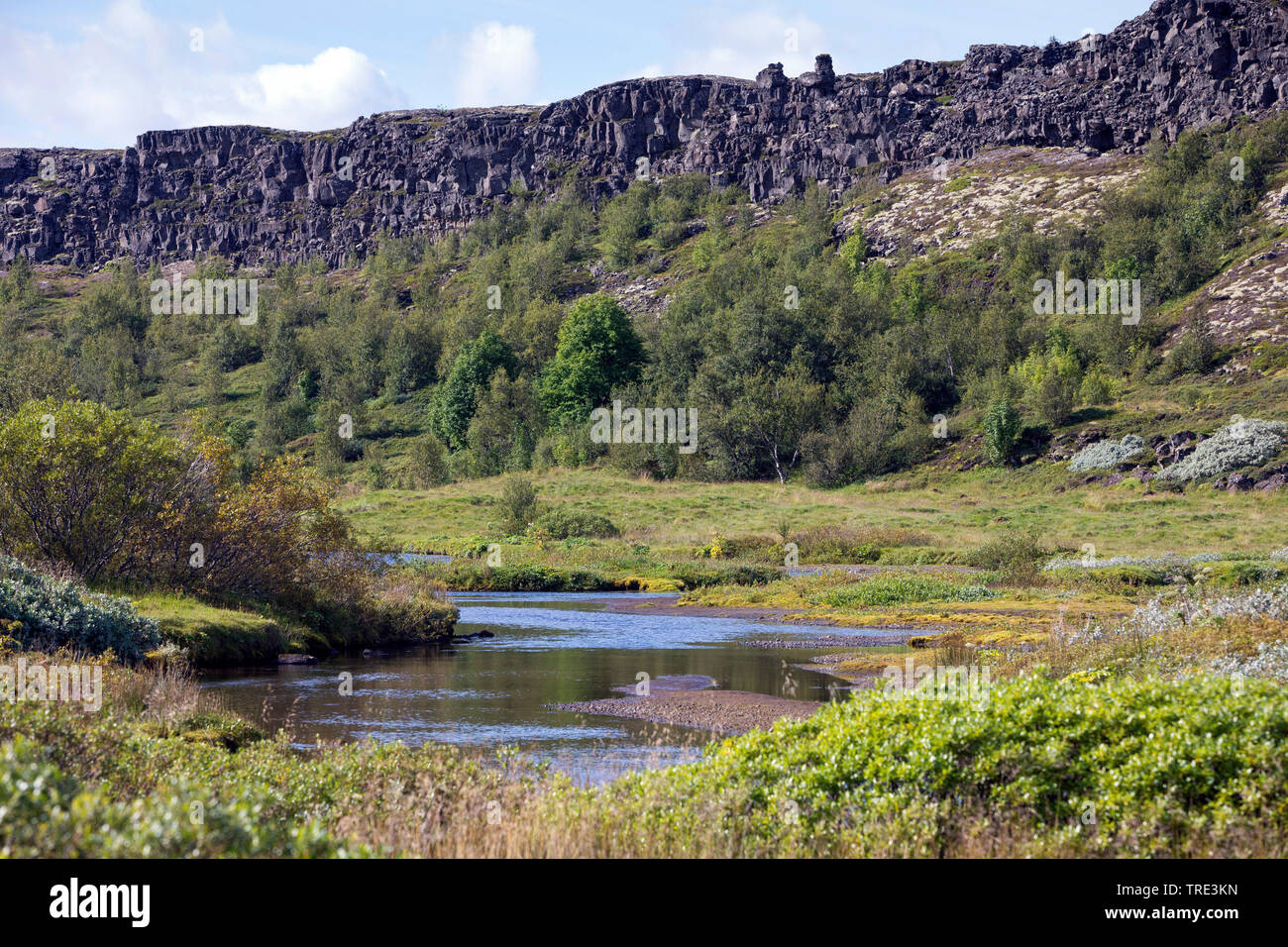 Almannagja, Rift valley tra quella eurasiatica e piastre di Nord America, Islanda, Thingvellir National Park Foto Stock