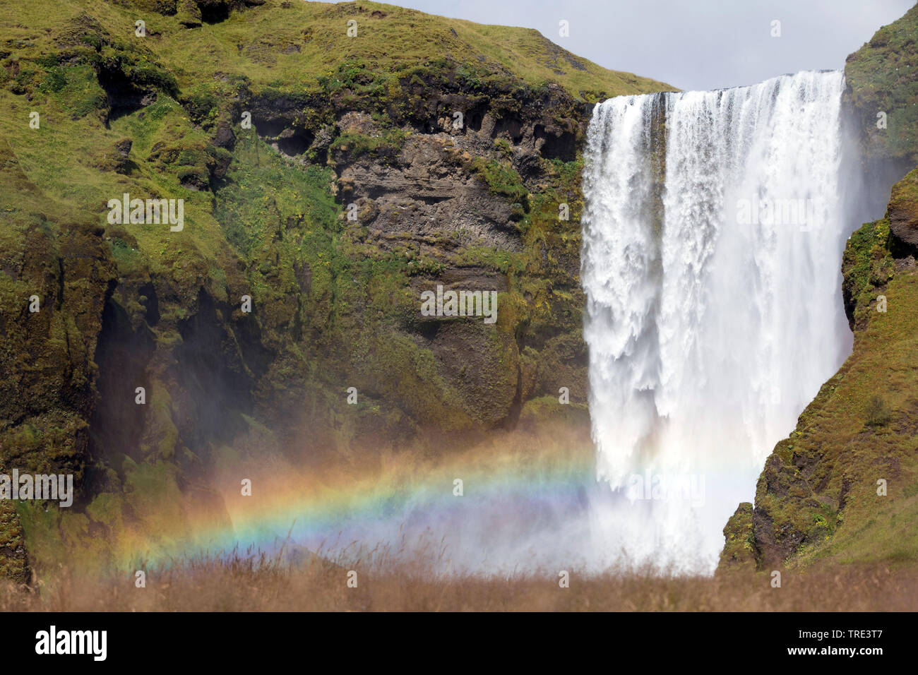 Cascata Skogafoss, Islanda, Skogafoss Foto Stock