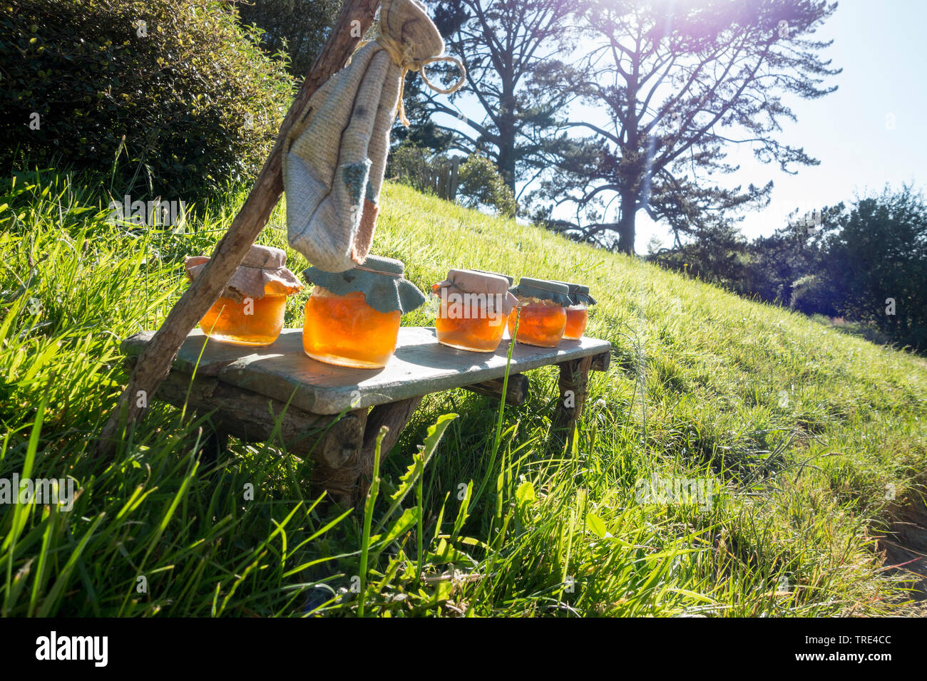 Preservare il vaso riempito con miele messo su pascoli nell'ombra di un albero, Europa Foto Stock
