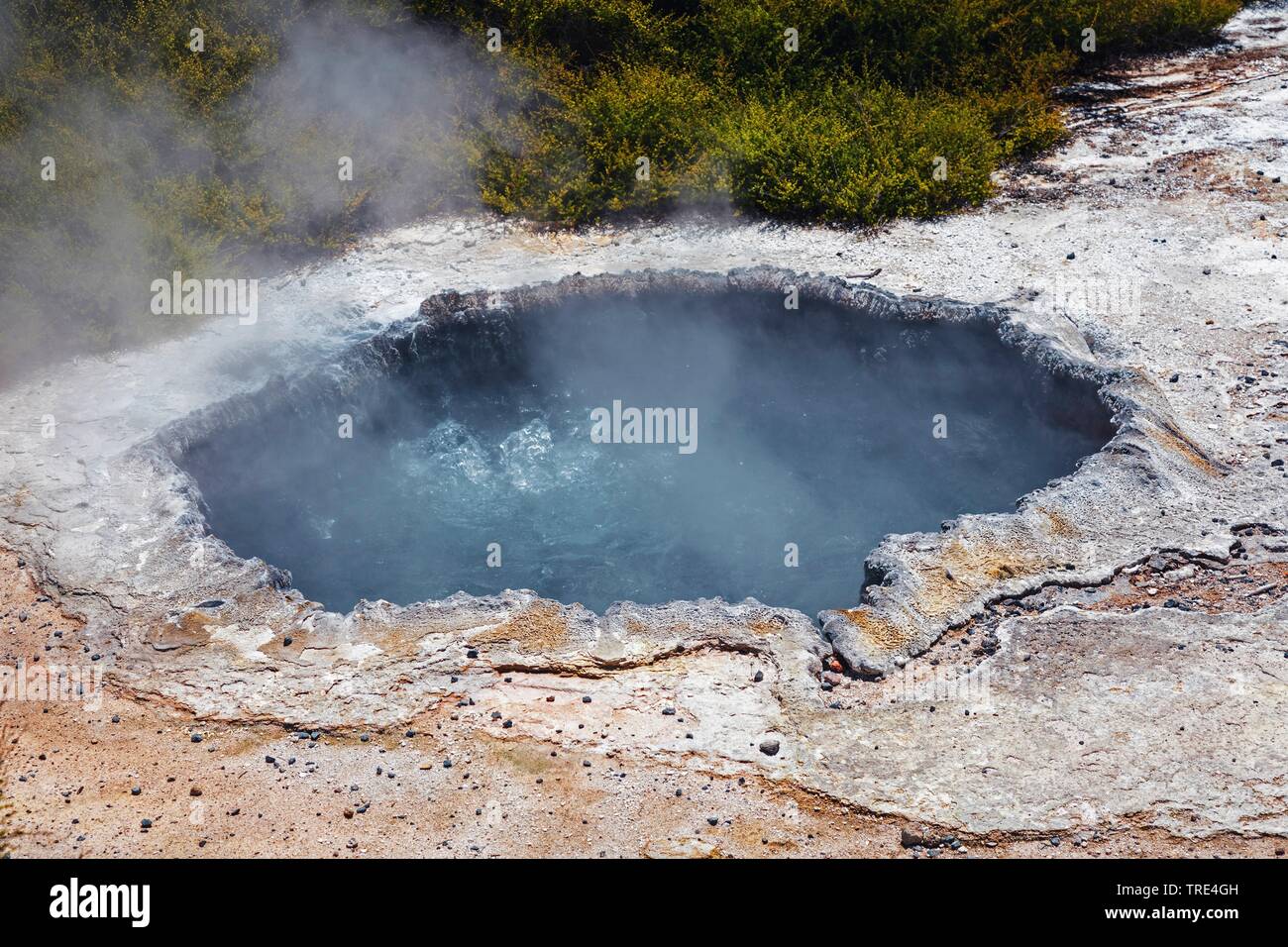 Vista di un cratere vulcanico ben al Vulcanica Waimangu Rift Valley in Nuova Zelanda, Nuova Zelanda, Isola Settentrionale, Waimangu Foto Stock