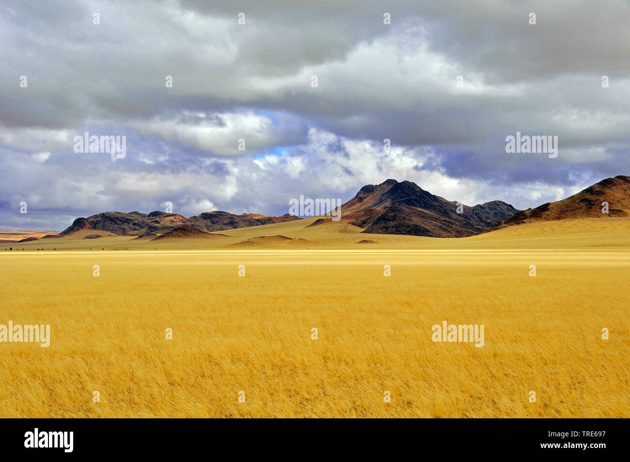 Prati e montagne, Namibia Foto Stock