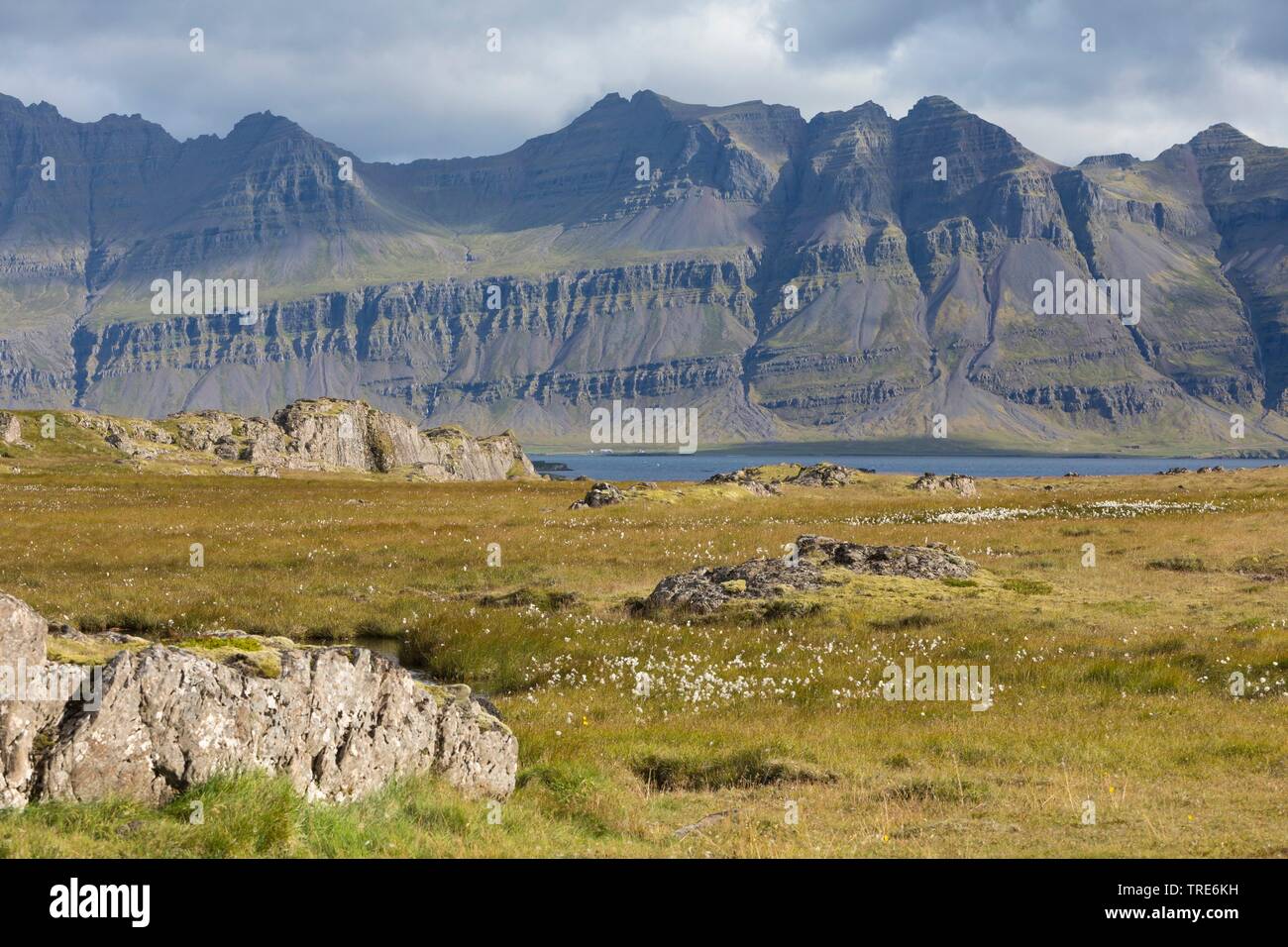 Vista sulla tundra e stagni con erba di cotone vicino a Breidalsvik, sullo sfondo delle montagne del Kambanes penninsula, Islanda Foto Stock