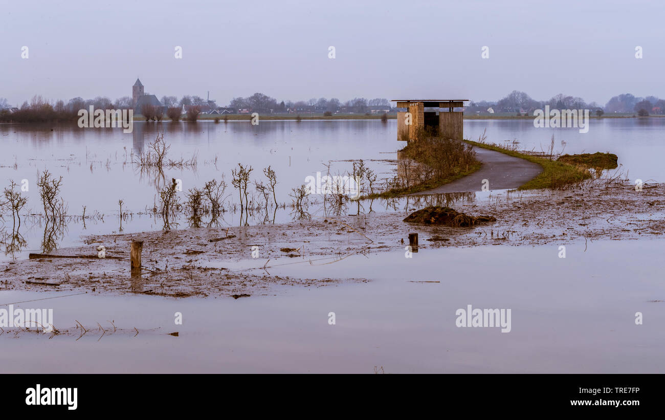 Bird watching stazione di IJssel acqua alta, Paesi Bassi Overijssel, Vreugderijkerwaard, Zwolle Foto Stock