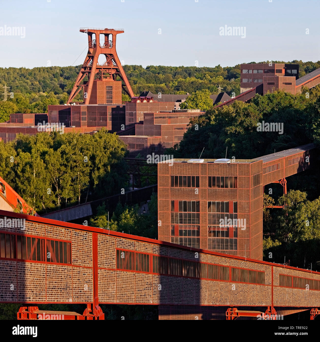 Complesso industriale delle miniere di carbone dello Zollverein con albero XII, in Germania, in Renania settentrionale-Vestfalia, la zona della Ruhr, Essen Foto Stock