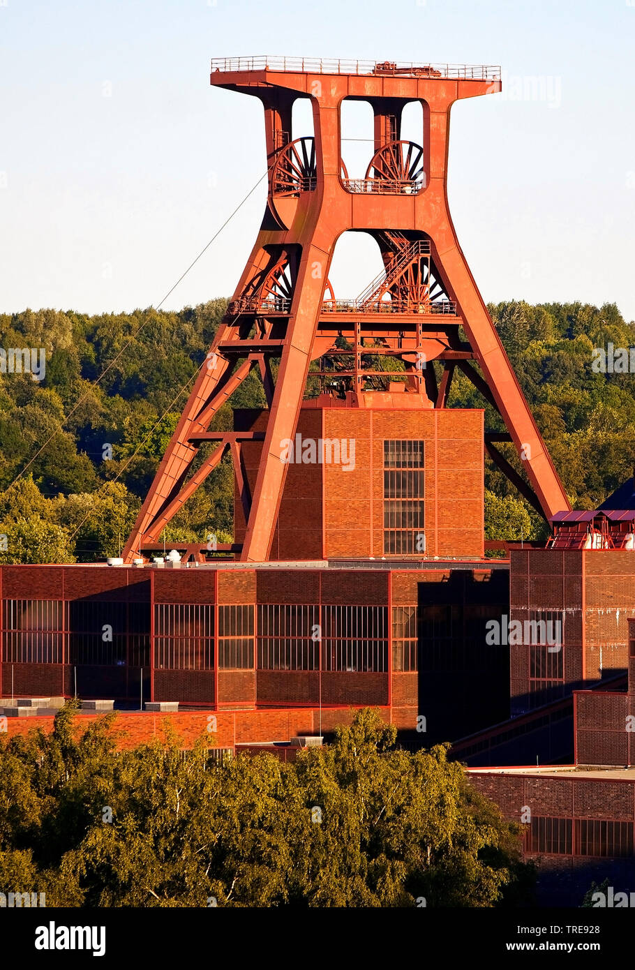 Complesso industriale delle miniere di carbone dello Zollverein con albero XII, in Germania, in Renania settentrionale-Vestfalia, la zona della Ruhr, Essen Foto Stock