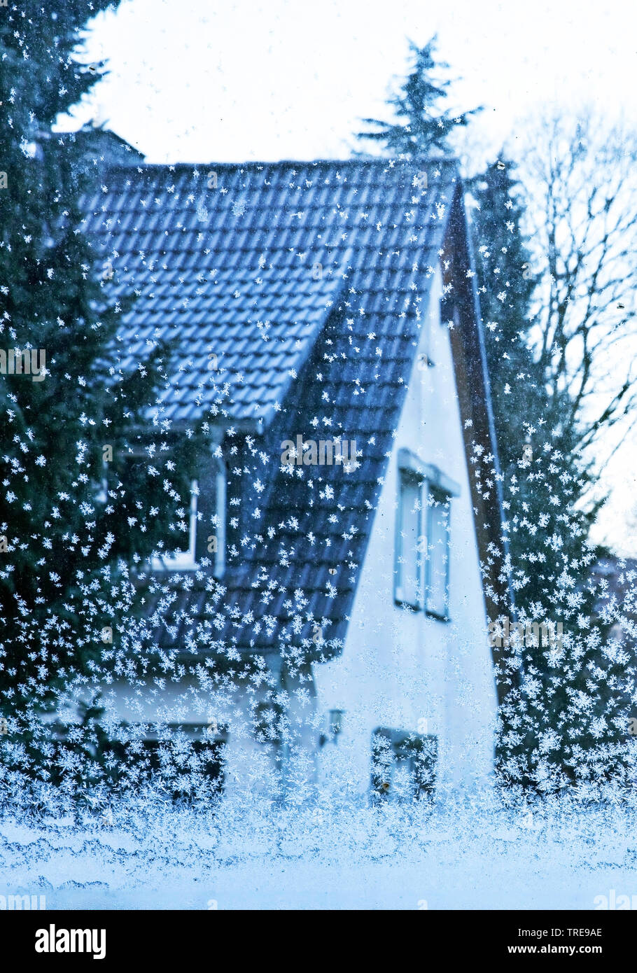 Vista attraverso un vetro di finestra con i cristalli di ghiaccio in una casa residenziale, in Germania, in Renania settentrionale-Vestfalia, la zona della Ruhr, Witten Foto Stock