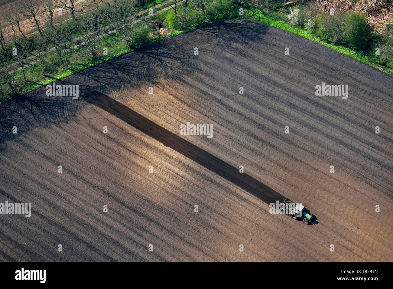 Vista aerea di un trattore aratura o erpicatura un acro in primavera, Germania, Schleswig-Holstein, Dithmarschen Foto Stock