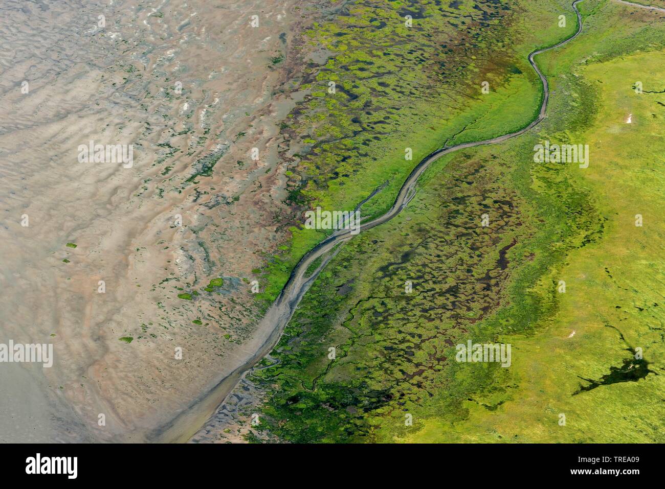 Il wadden sea su Eiderstedt, west coeast, vedute aeree, Germania, Schleswig-Holstein, Schleswig-Holstein il Wadden Sea National Park Foto Stock Il wadden sea su Eiderstedt, west coeast, vedute aeree, Germania, Schleswig-Holstein, Schleswig-Holstein il Wadden Sea National Park Foto Stock