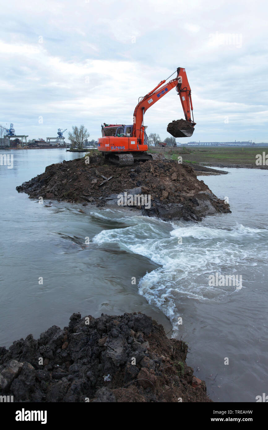 Sophia Polder dannati fino, acqua dolce zona di marea, Paesi Bassi Olanda meridionale Foto Stock