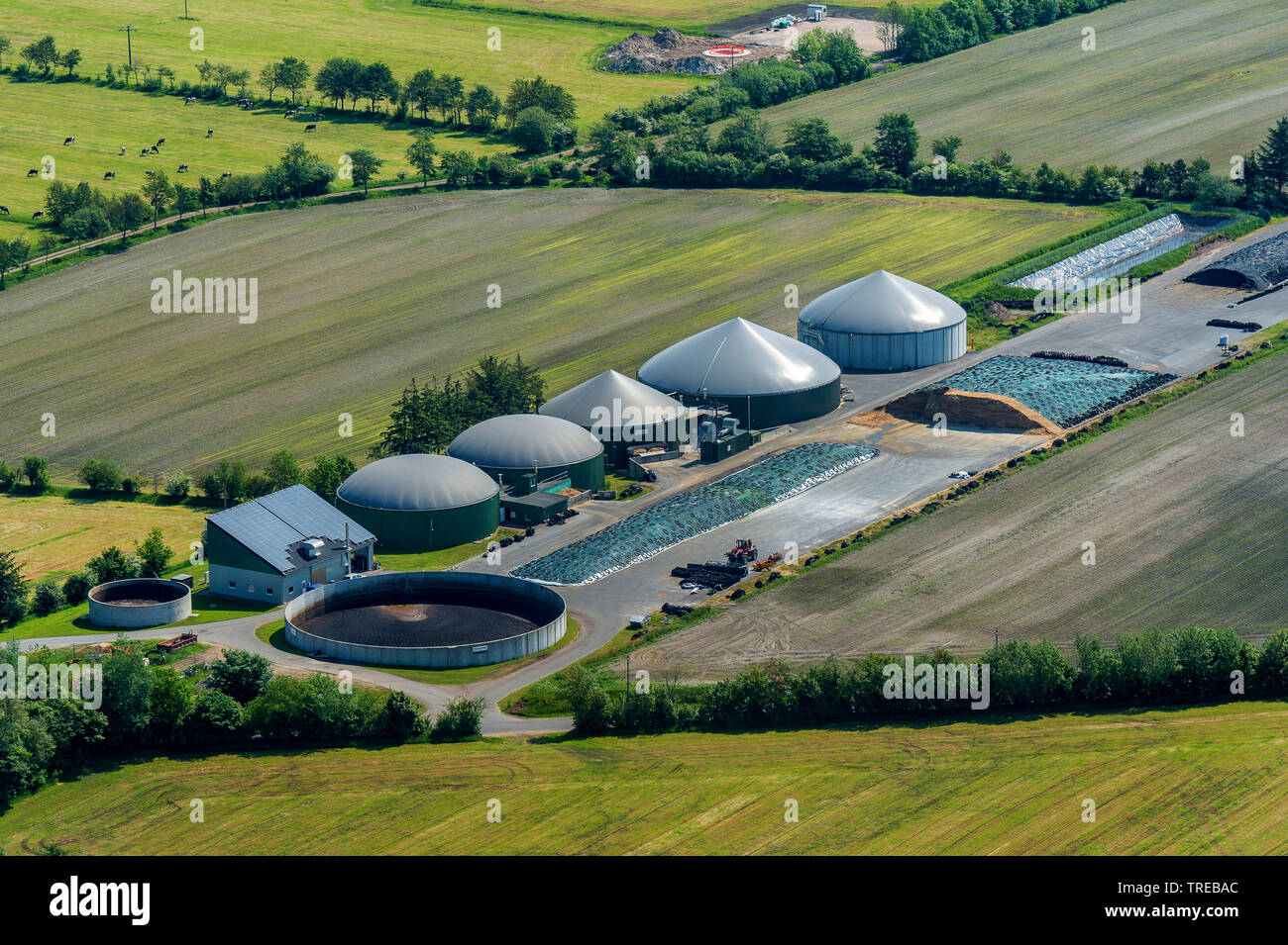 Impianto di produzione di biogas in Dithmarschen con reattore slurry e silo, vista aerea, Germania, Schleswig-Holstein, Frisia settentrionale Foto Stock